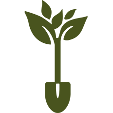 Deforestation, PrintReleaf, Quality Business & Top Business Solutions