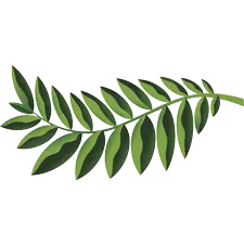 Native Woodlands, PrintReleaf, Quality Business & Top Business Solutions